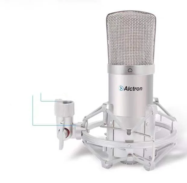 Alctron MC001 chanel earrings karaoke microphone usb wireless channel For Laptop Windows Cardioid Studio | Электроника