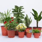 Пластиковый горшок для рассады, горшок для растений, поднос для саженцев, дышащий контейнер для суккулентов, для домашнего сада