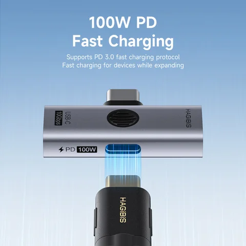 Hagibis Dual USB C адаптер 1 в 2, разветвитель с портом зарядки 100 Вт, конвертер USB C в OTG для наушников для iPad iPhone Macbook