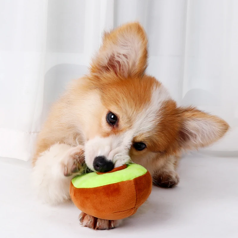 

Sounding Toy Pet Amuse Toys Funny Pets Fruit Plush Toys Pet Training Toy Dog Cat Chew Toys Squeaky Toy Pet Supplies Dog Toy 2022