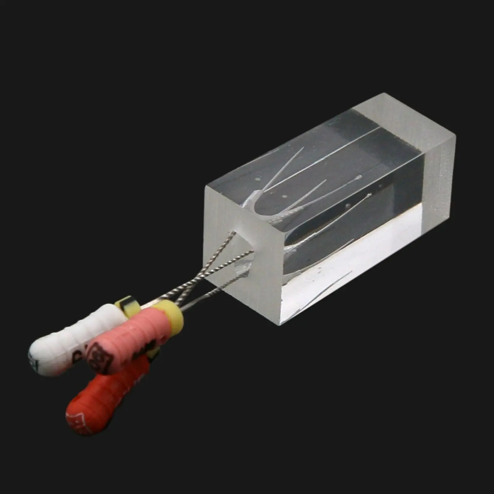 10Pcs Dental Endodontic Root Canal Teeth Molar Model for Pulp File Practice