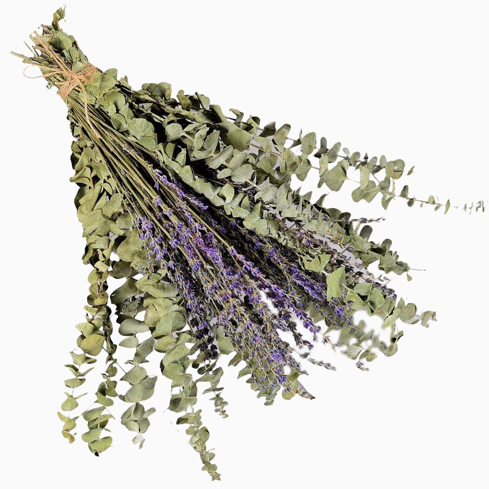 

Искусственные круглые листья для цветочной композиции