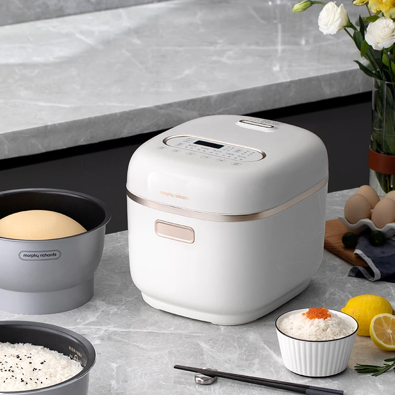 morphy richards mini cooker