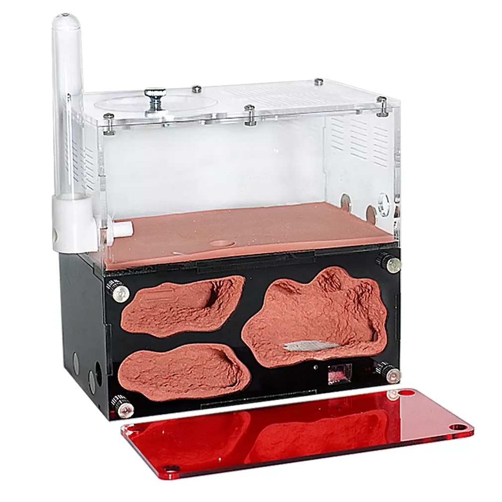 

Акриловое Муравьиное фермерское гнездо с контролем температуры, бетонное Муравьиное гнездо, бесконечное расширение, дом для насекомых, кол...