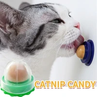 nutrition cat catnip ball dust cover round safe catnip snack lick candy vitamin pudding catnip lollipop for cat kitten ragdoll