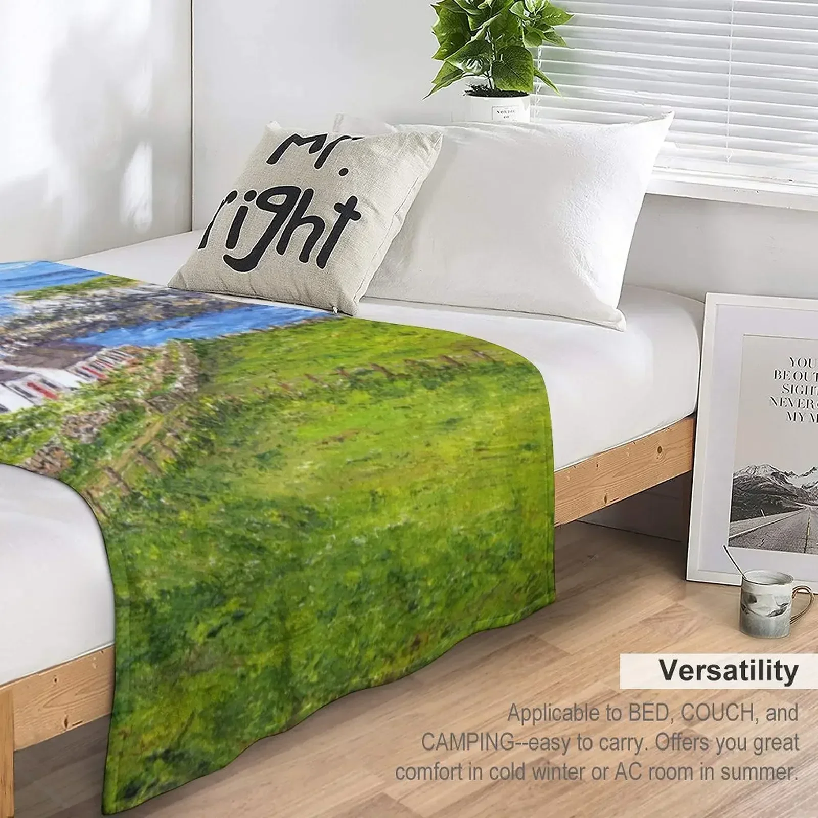 Одеяло Cottages at Moelfre on Anglesey свободные винтажные одеяла для кемпинга