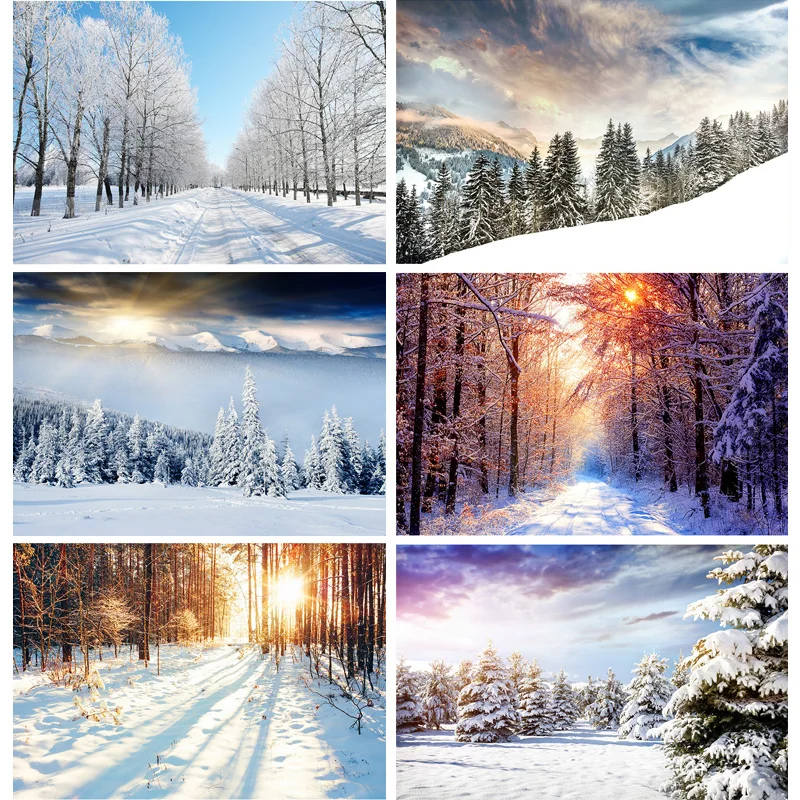 

Vinyl Winter Natural Scenery Photography Background Forest Snow Landscape Travel Photo Backdrops Studio Props 211121 DJXJ-01