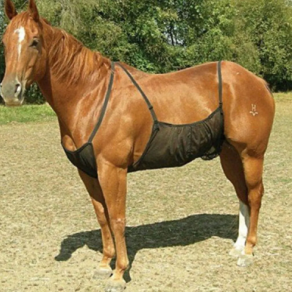 

Ковер для животных, сетчатый ковер для животных, сетка для защиты живота от укусов, удобное переносное складное защитное одеяло