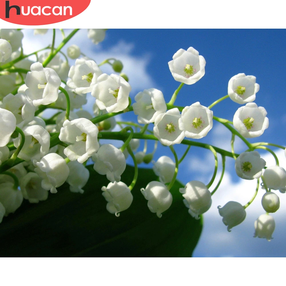 

HUACAN Picture By Numbers Lily Of The Valley DIY Frame Acrylic Drawing On Canvas White Flower Unique Gift Decoration 75x60cm