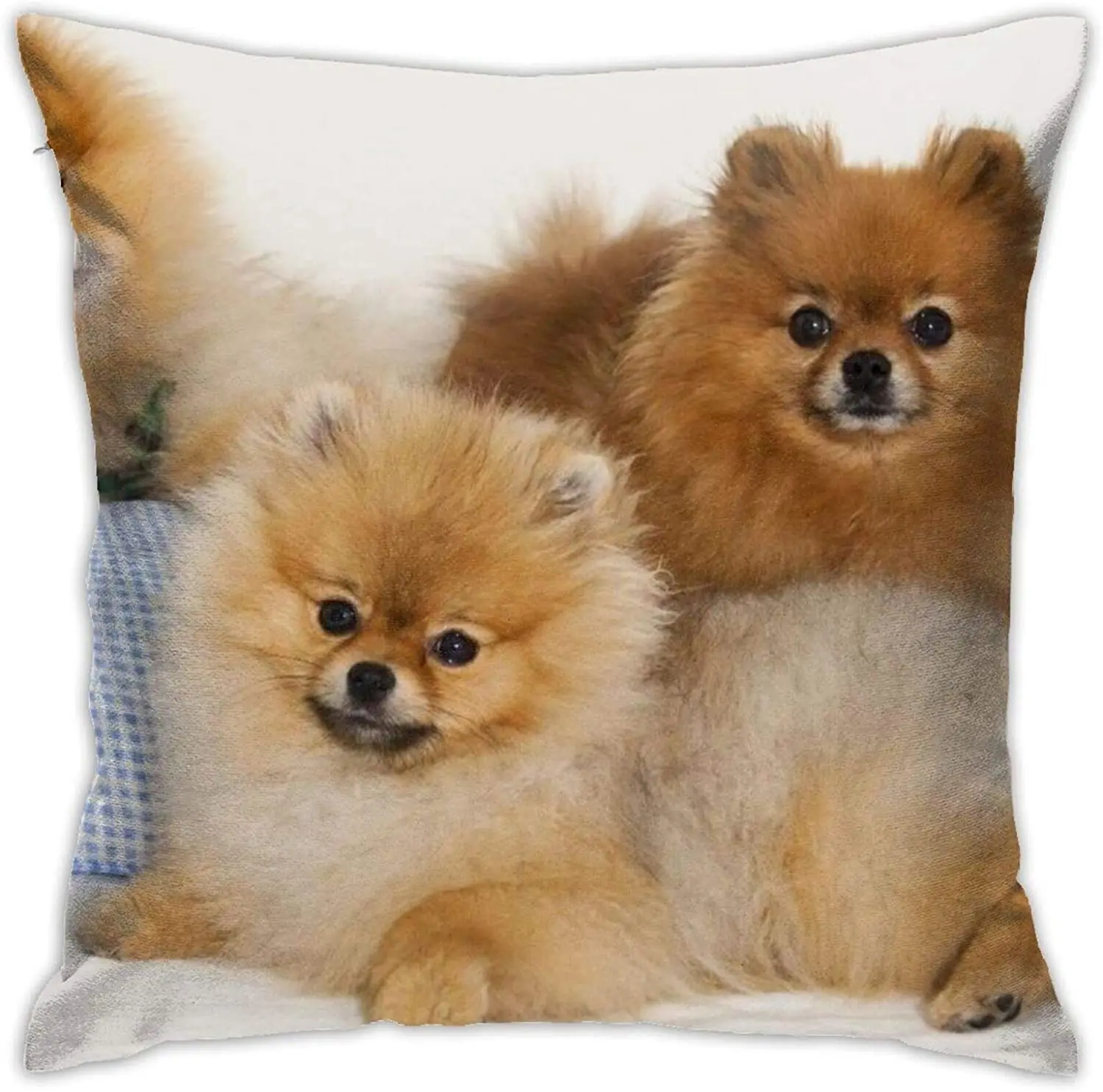 

Funny Pomeranian Throw Pillow Cover Decorative Cushion Case Home Square Pillowcase Decor for Sofa Couch Decorations 18 x 18inch