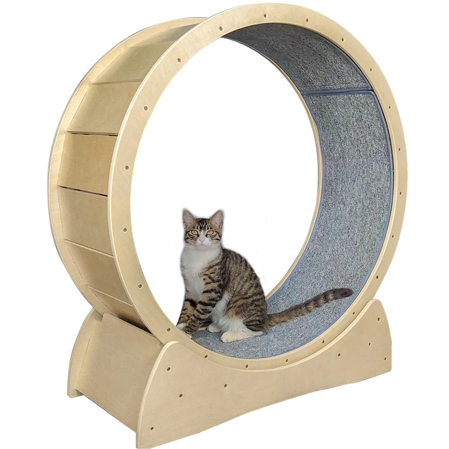 

zqCat Toy Self-Entertainment Cat Running Wheel Cat Sports Running Wheel Cat Roller Pet Treadmill Running Toy