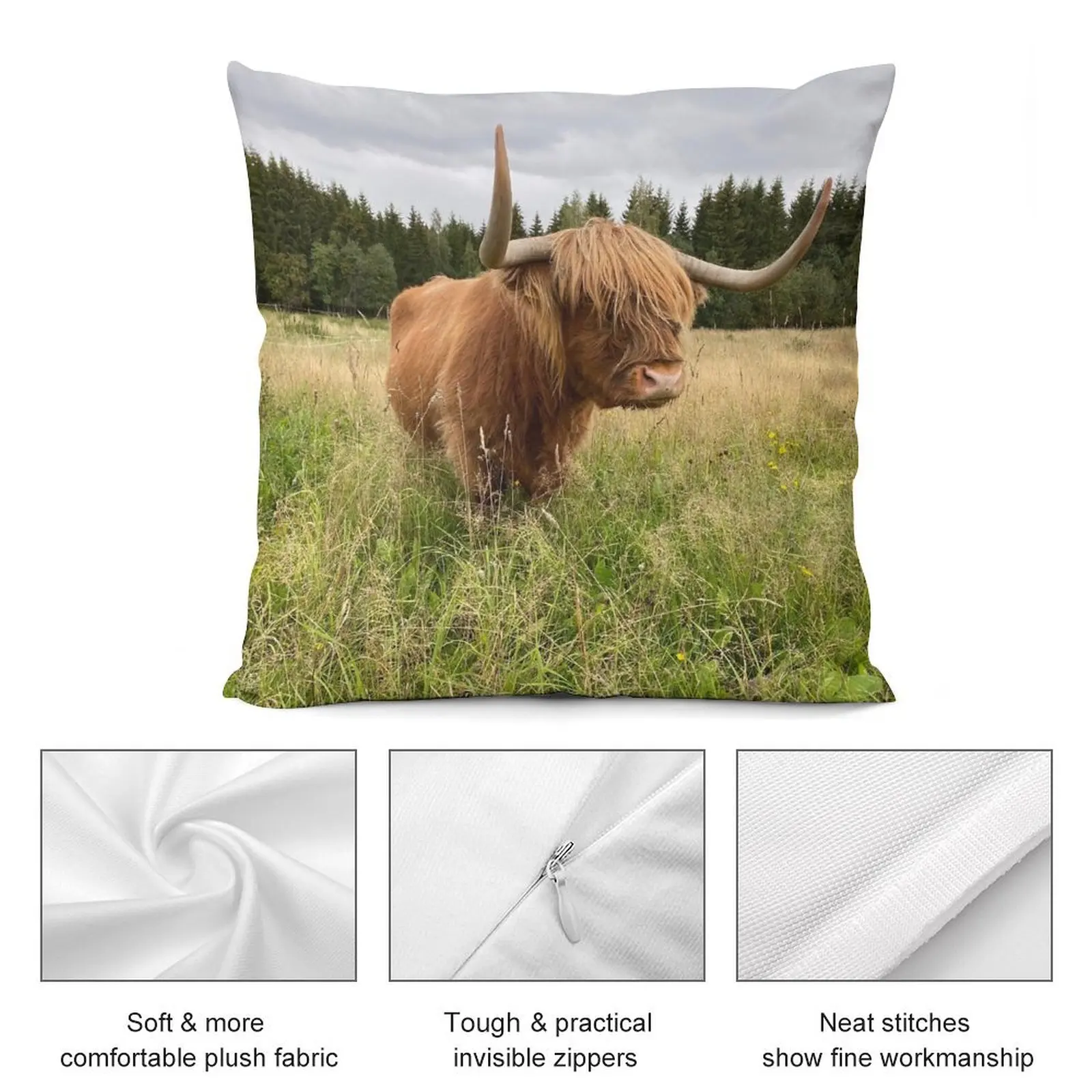 Шотландская корова крупного рогатого скота 2956 наволочки для диванных подушек