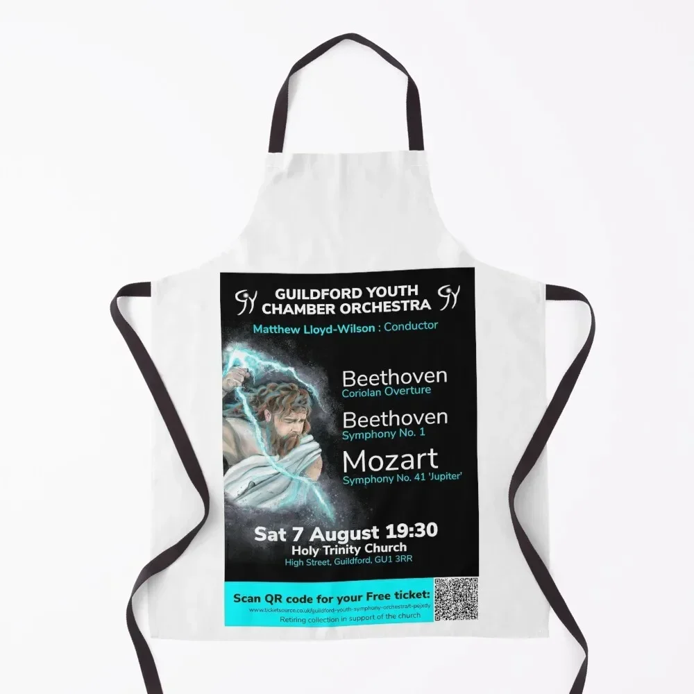 GYSO Юпитер плакат фартук японская женщина вещи для дома и кухни плотник