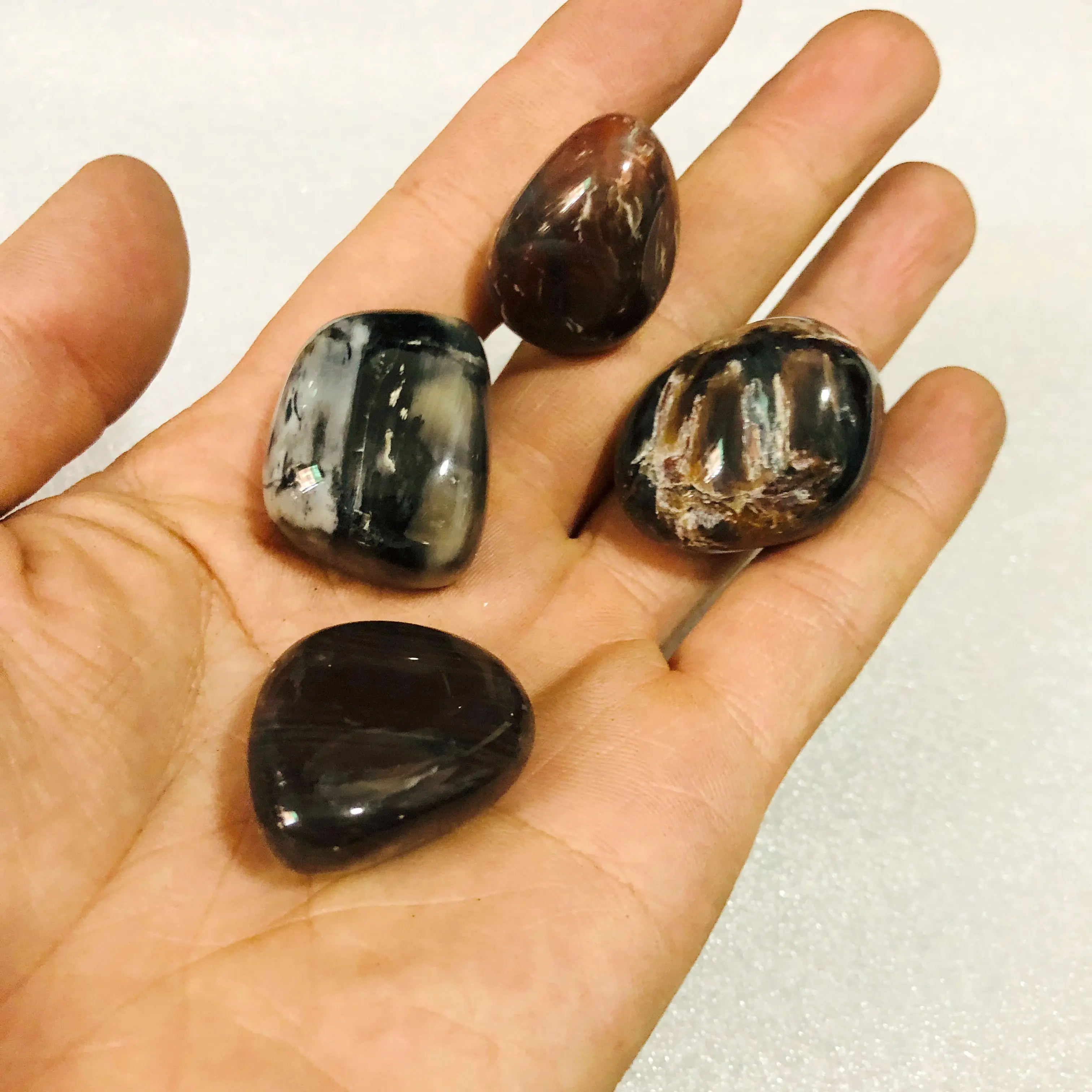 Оптовая продажа 4 шт. полированное окаменелое дерево яшма морское стекло камни