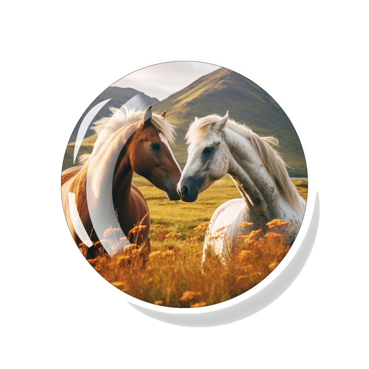 

Магниты для холодильника EQJJYPOC лошадь