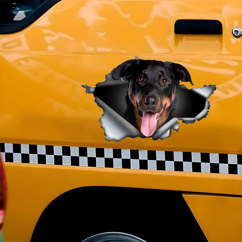 DK570 # Автомобильные наклейки Beauceron самоклеящаяся водонепроницаемая наклейка с