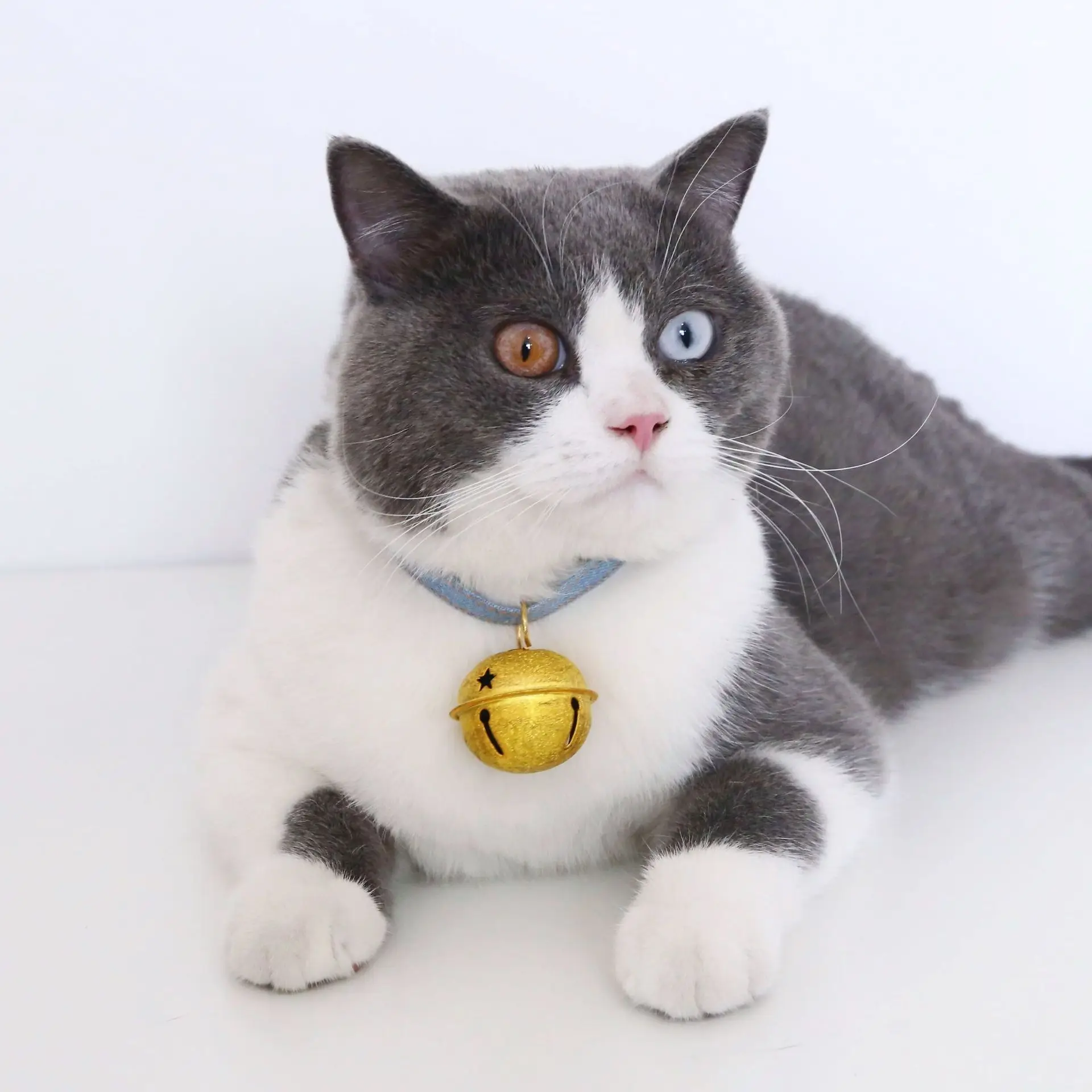 

Pet Adjustable Cowboy Macaroon Big Bell Cat Dog Rabbit Collar Cute Personalized Accessories Necklace Kitten Accessories