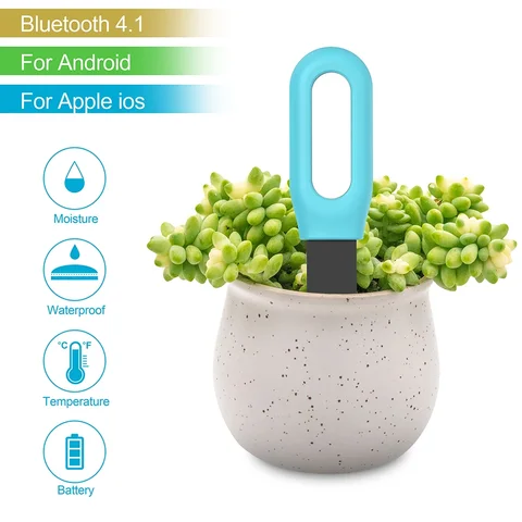 IHOMECAM Soil Temperature Meter