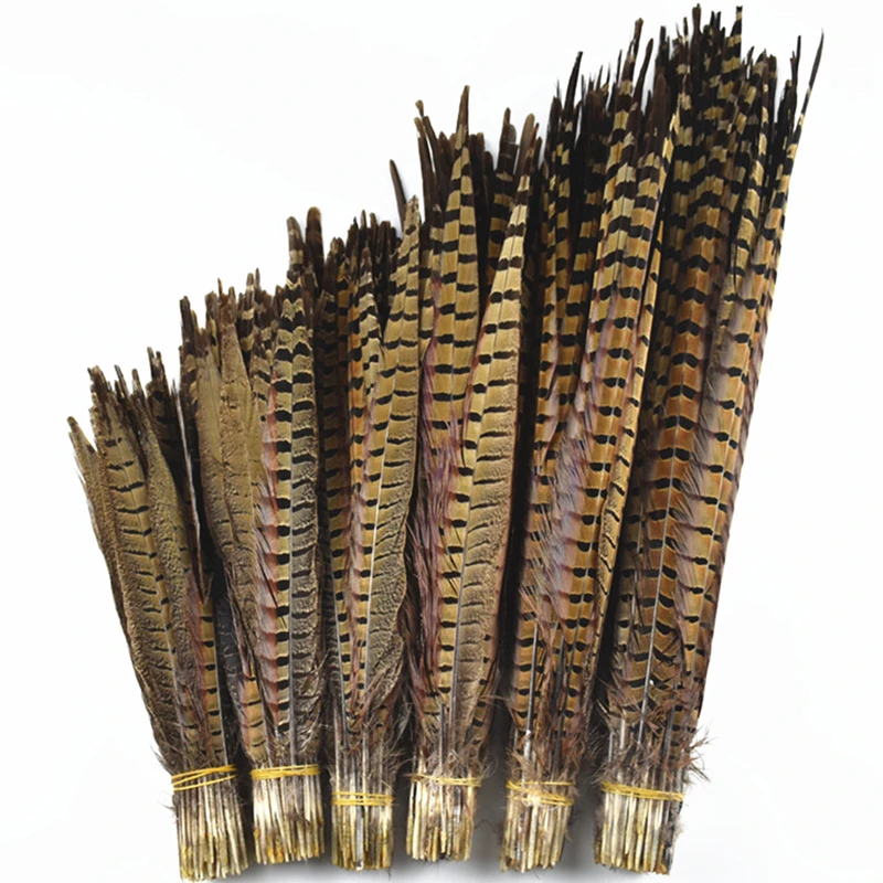 

10Pcs/Lot Natural Ringneck Pheasant Tail Feathers for Crafts 15-65cm/6-26" Pheasant Feather Carnival Wedding Feathers Decoration