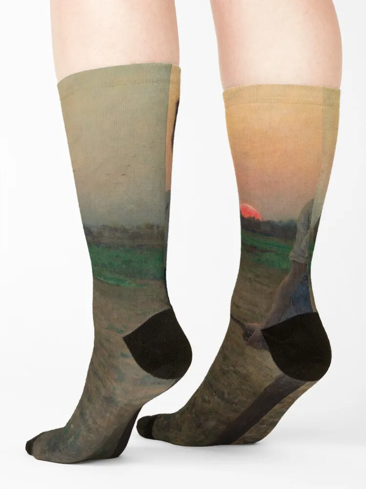Джулс Бретон. Песня Lark 1884. Носки Обувь для велоспорта роскошные женские носки