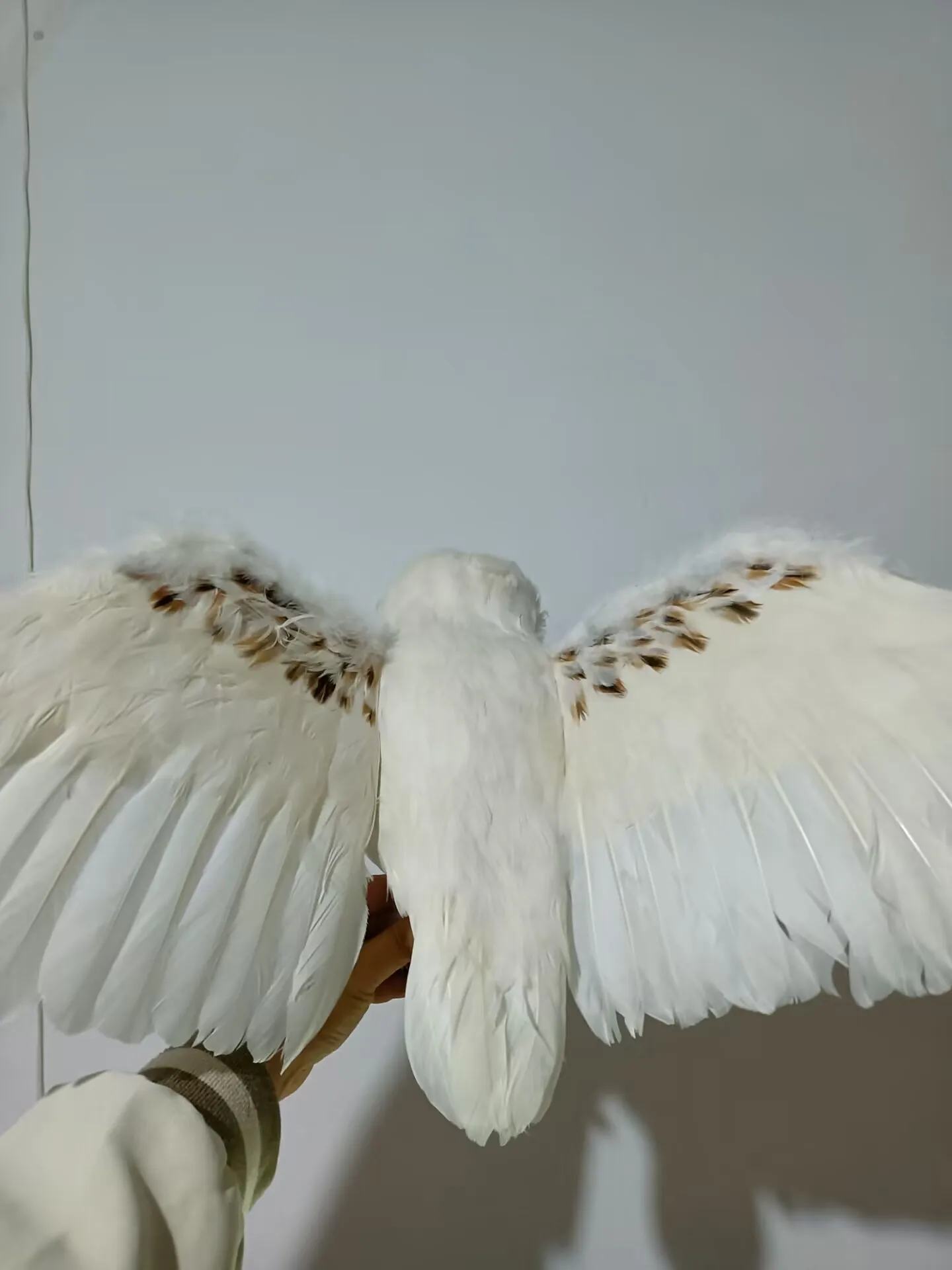 Большая имитация крыльев модель совы из пенопласта и перьев украшение в виде