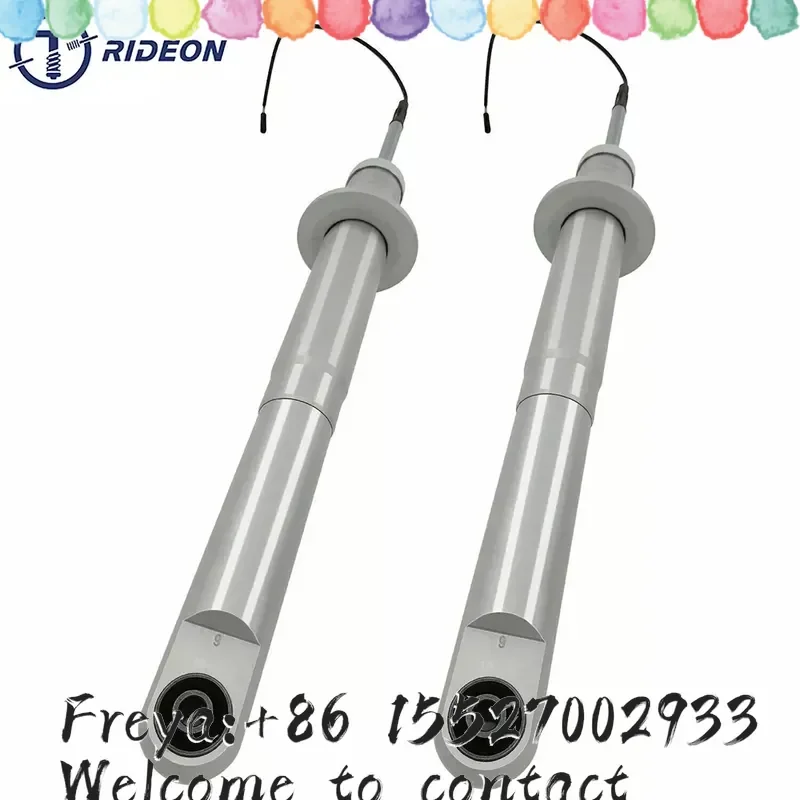 Фото 1 пара передних амортизаторов L&R для Quattroporte M139 Sport GTS Skyhook 2006-2011 248255 226147 №5