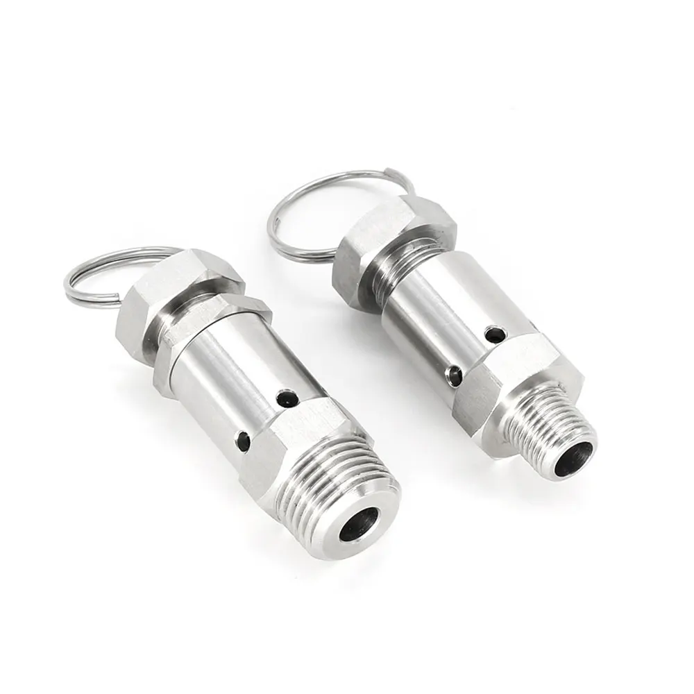 1/4" 1/2" BSPT Male 1 2 3 4 5 6 Bar 0.5-10 Bar 304 Stainless Steel Sanitary Spring Pressure Air Relief Safety Valve Homebrew