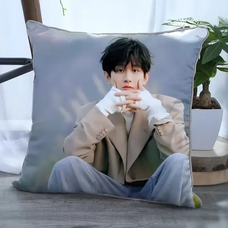 Двусторонний постер Cheng Yi Zhang Yuxi наволочка с рисунком ТВ южный ветер знает фу