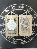 new the antique anatomy tarot board card game english netherlands version tarot deck board games for women personal use