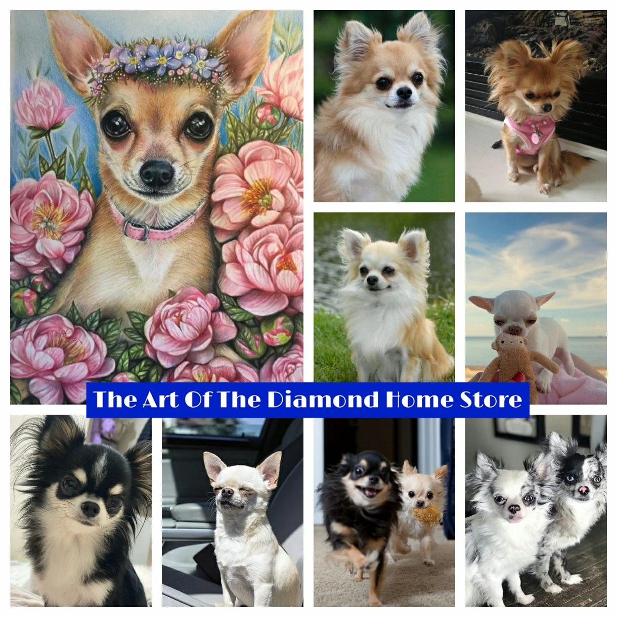 

Chihuahua Pet Dog 5D DIY AB Drills Diamond Painting Embroidery Animal Cross Stitch Art Rhinestone Mosaic Home Decor Child Gifts