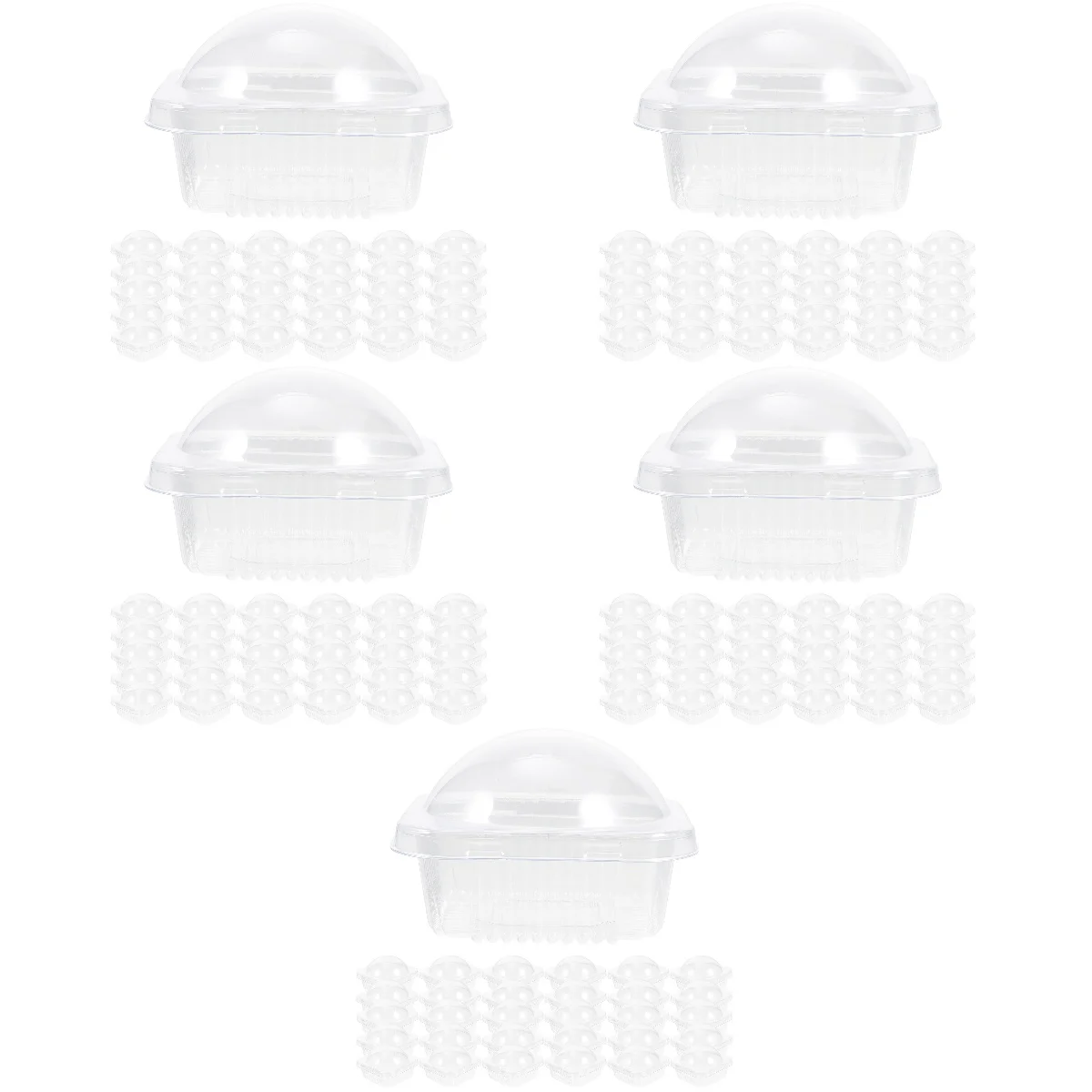 

250 Round Reusable Clear Single Cupcake Container Cupcake Boxes for Thanksgiving Festive Occasions
