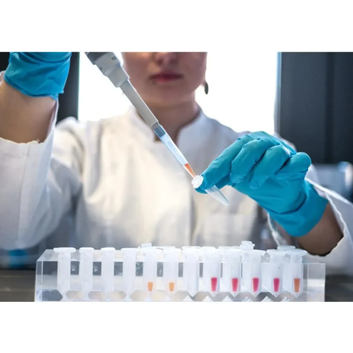 Прибор Cannie Dog Vet для определения содержания прогестерона в крови у животных