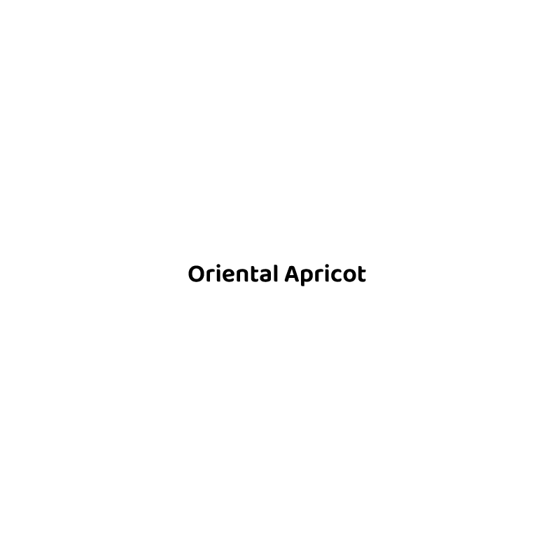 

#2214061707