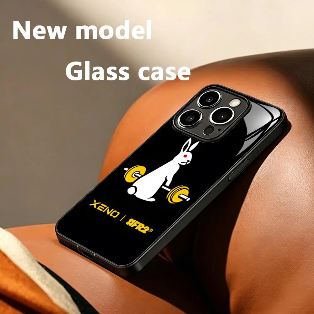 Фото Чехол для телефона LOOG Hot F-Fxxking R-Rab-bits для iPhone 17 Air, 16, 15, 14, 13, 12, 11 Plus, Mini, Pro, Max, стеклянный магнитный чехол №5