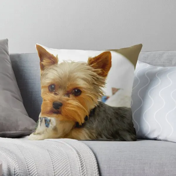 

Yorkie In Bed Printing Throw Pillow Cover Square Hotel Fashion Office Throw Comfort Cushion Bedroom Bed Pillows not include