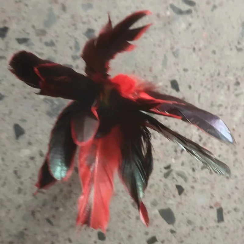 Китай волан для фитнеса развлечений ног необычное искусство соревнований по