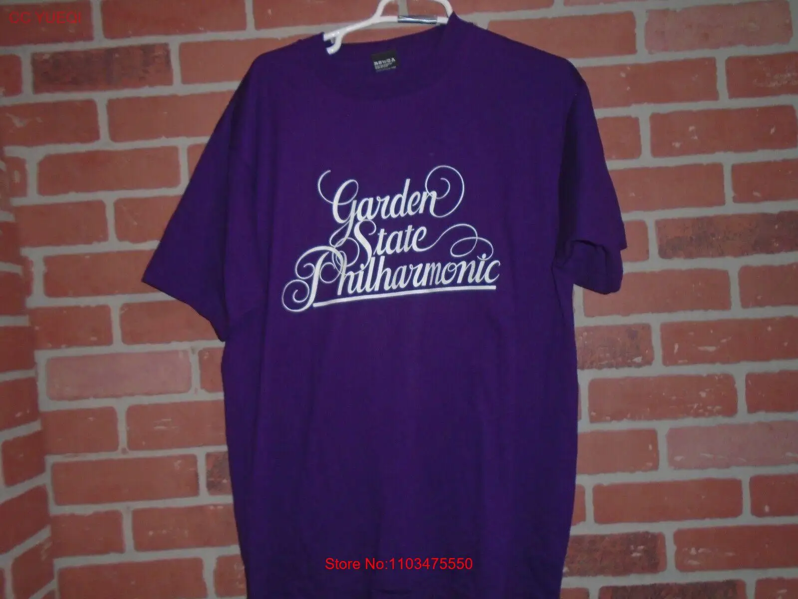 Винтажная футболка в стиле 1920-х годов с рисунком сада штата и филармоники