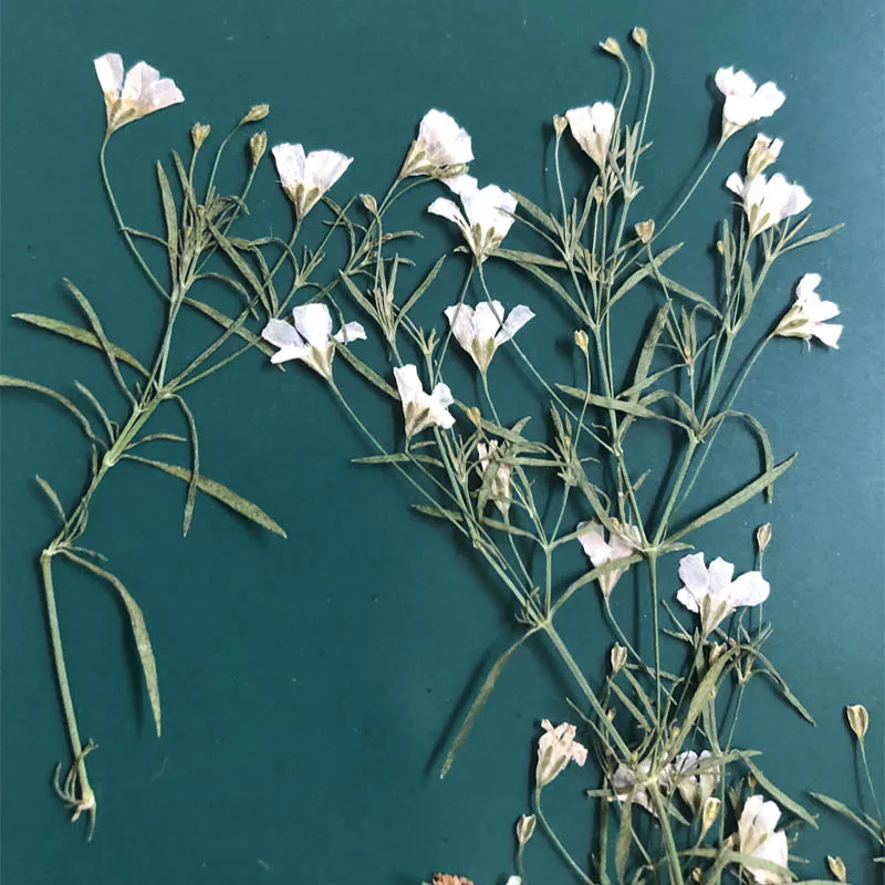 60 шт. фотоэлемент для изготовления украшений |