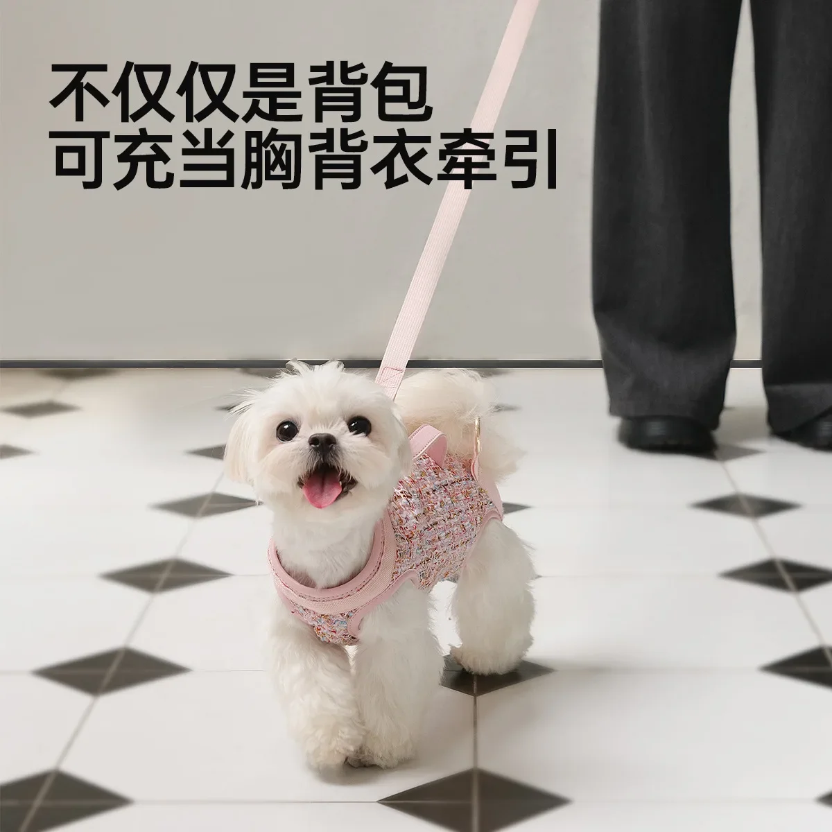 Фото Touchdog It It Маленькая ароматная сумка-рюкзак для собак, сумка для кошек, портативная легкая сумка через плечо для домашних животных. №5