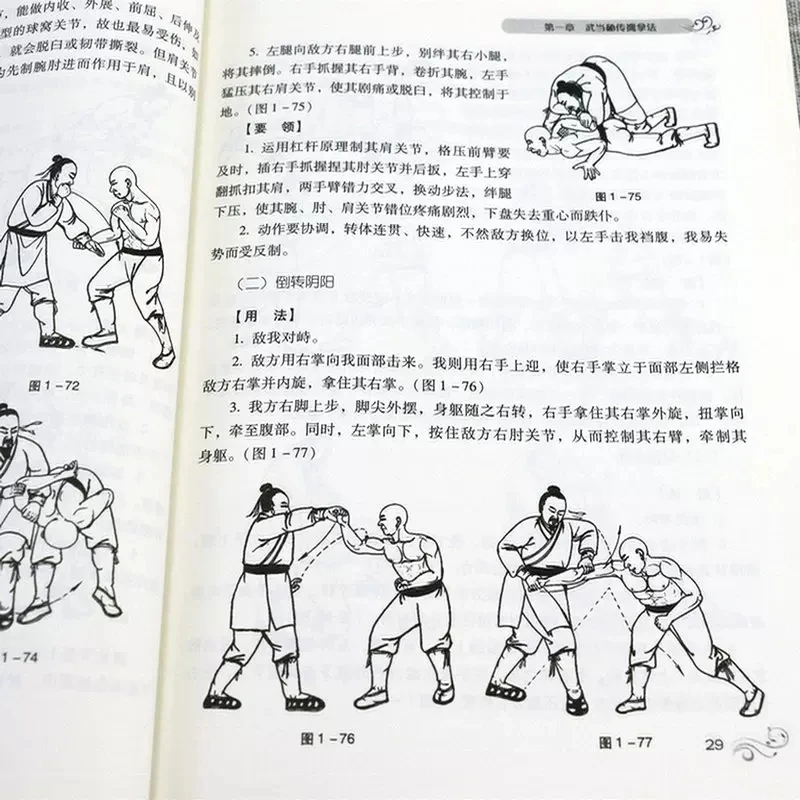Книга Wu Dang Da Li Qin Na Shou