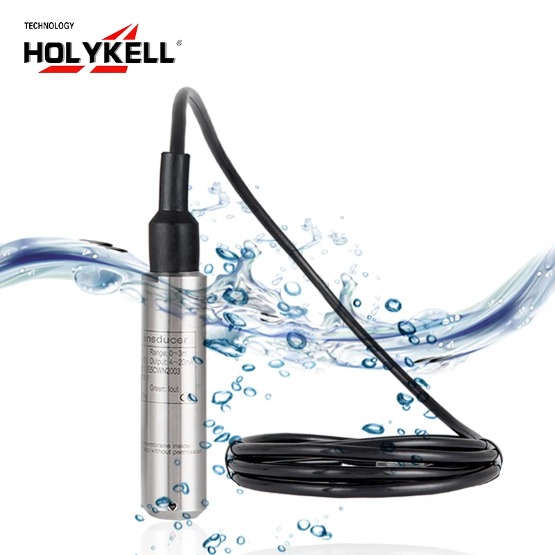 

Holykell HPT604 Submersible Water Level Sensor Probe
