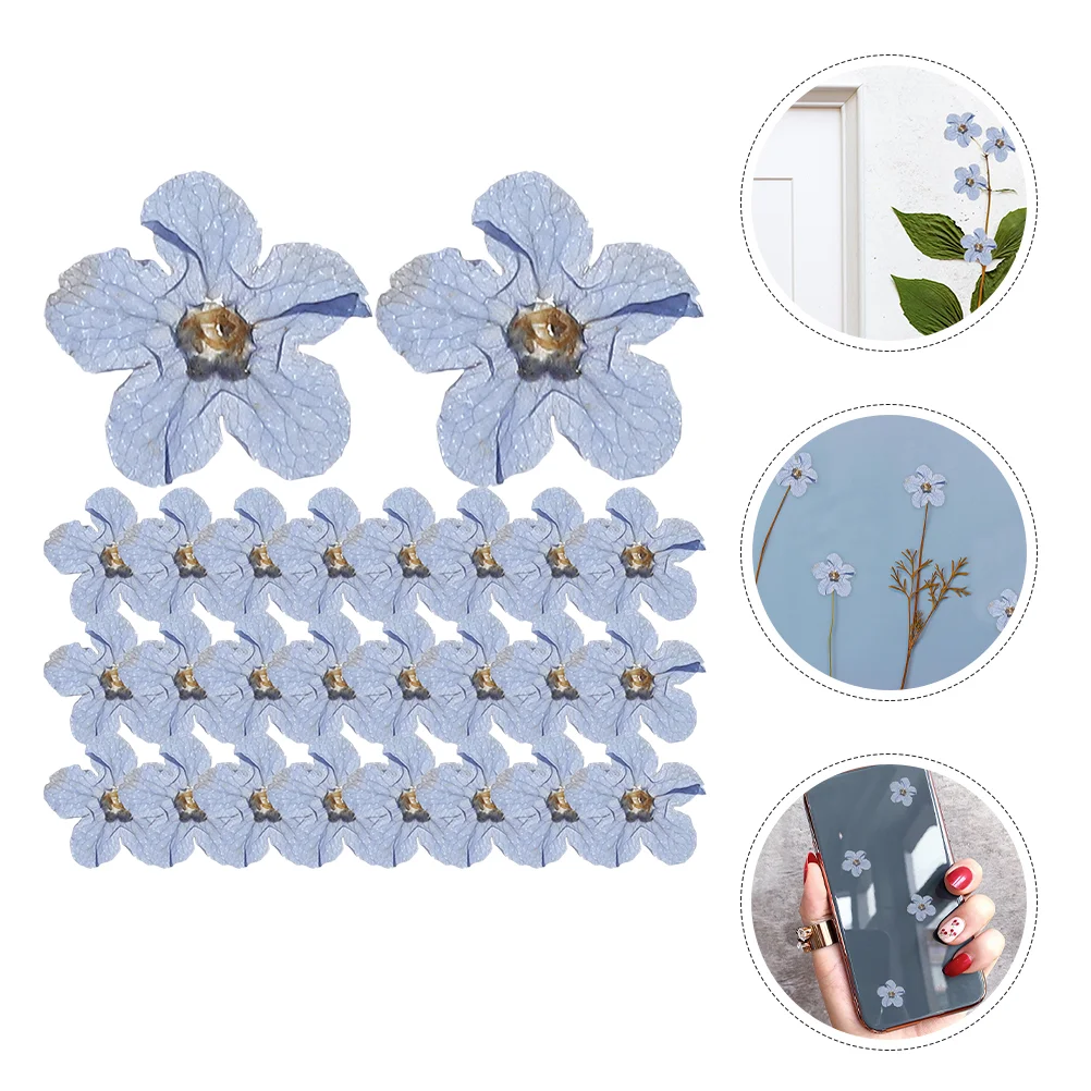 

4 Bags Accessories Dried Flower For DIY Manual Flowers Wildflowers Craft Making Toddler Floral Pressed Handmade Decoration