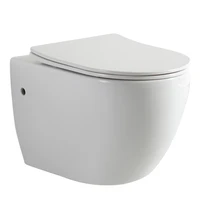 wall mounted toilet wall mounted hidden wall mounted water tank concealed hanging embedded wall drainage toilet