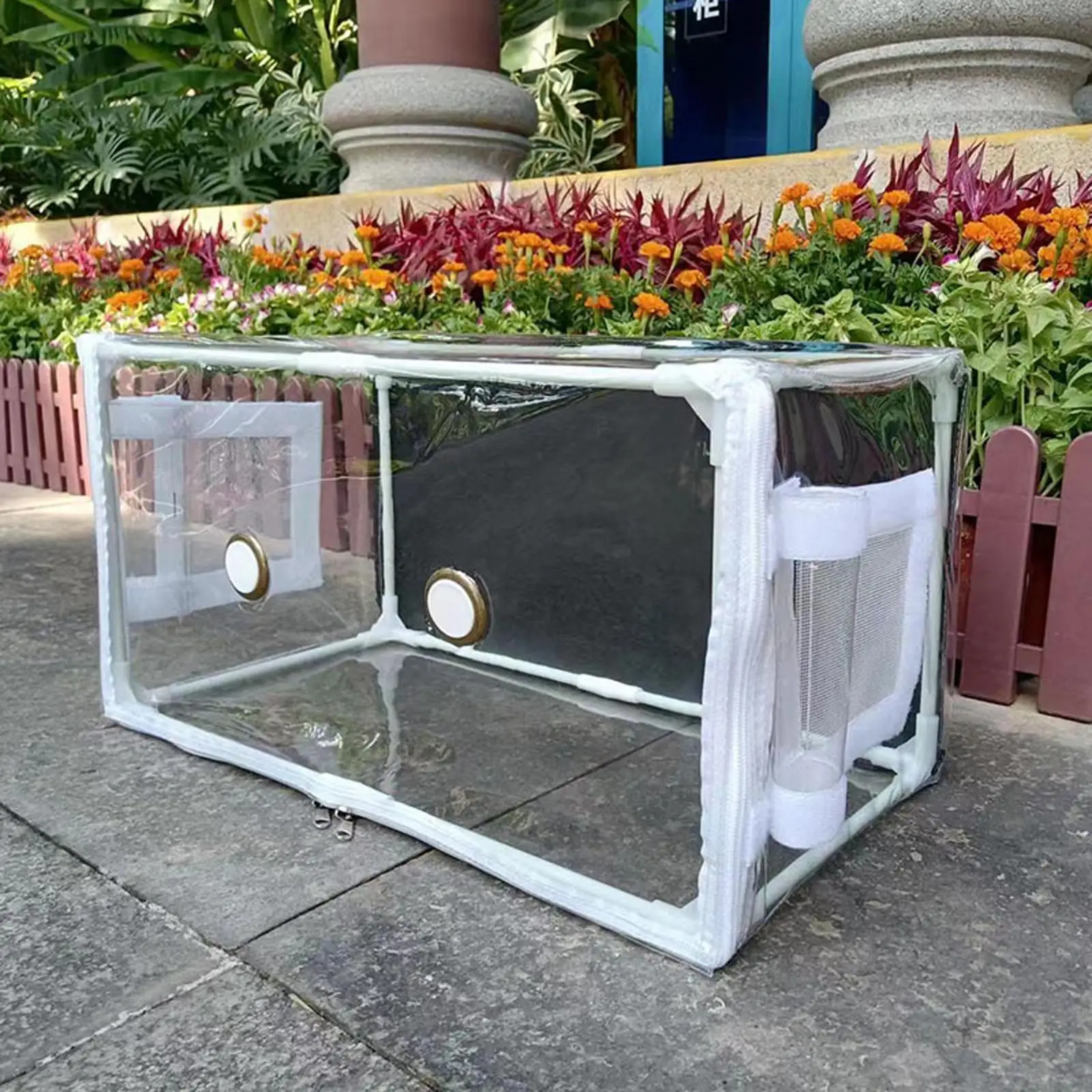 Контейнер для грибов комплект сделай сам садоводства компактный чехол теплиц