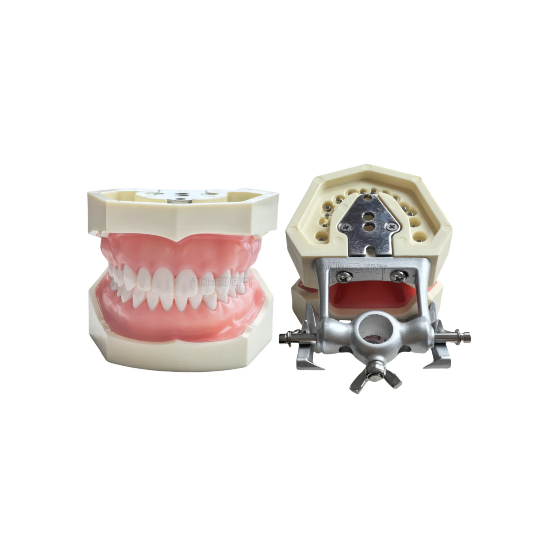 Стоматологическая модель kilгор NISSIN для обучения DP артикулятор Типоразмер