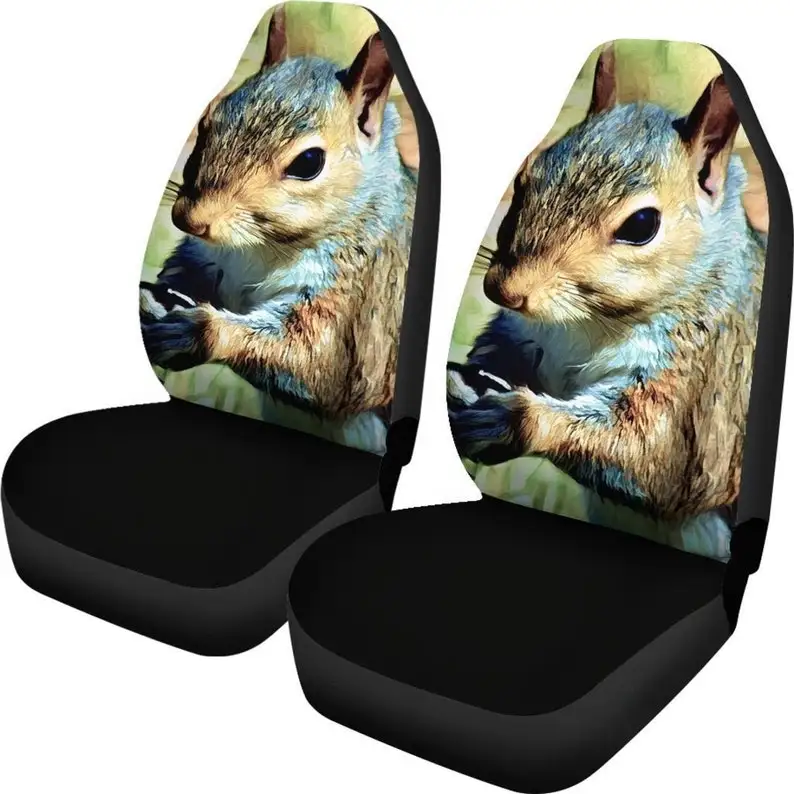 

Squirrel Car Seat Covers (Set Of 2) - Universal Front Car and Suv Seat Covers - Custom Seat Protector - Car Accessory - gift for