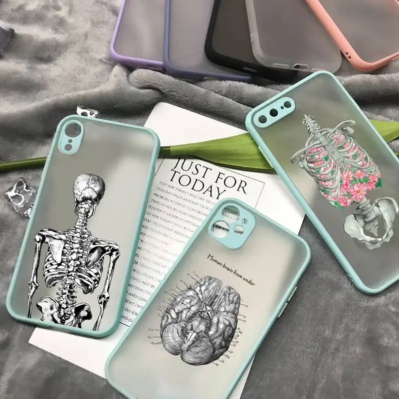 

Medical skeleton Anatomy pattern Phone Case matte transparent For iphone 7 8 11 12 13 plus mini x xs xr pro max cover