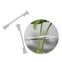 plants bundled lashing hook garden accessories fixed vegetable strapping of fruit vines for garden tree climbing support 100 pcs