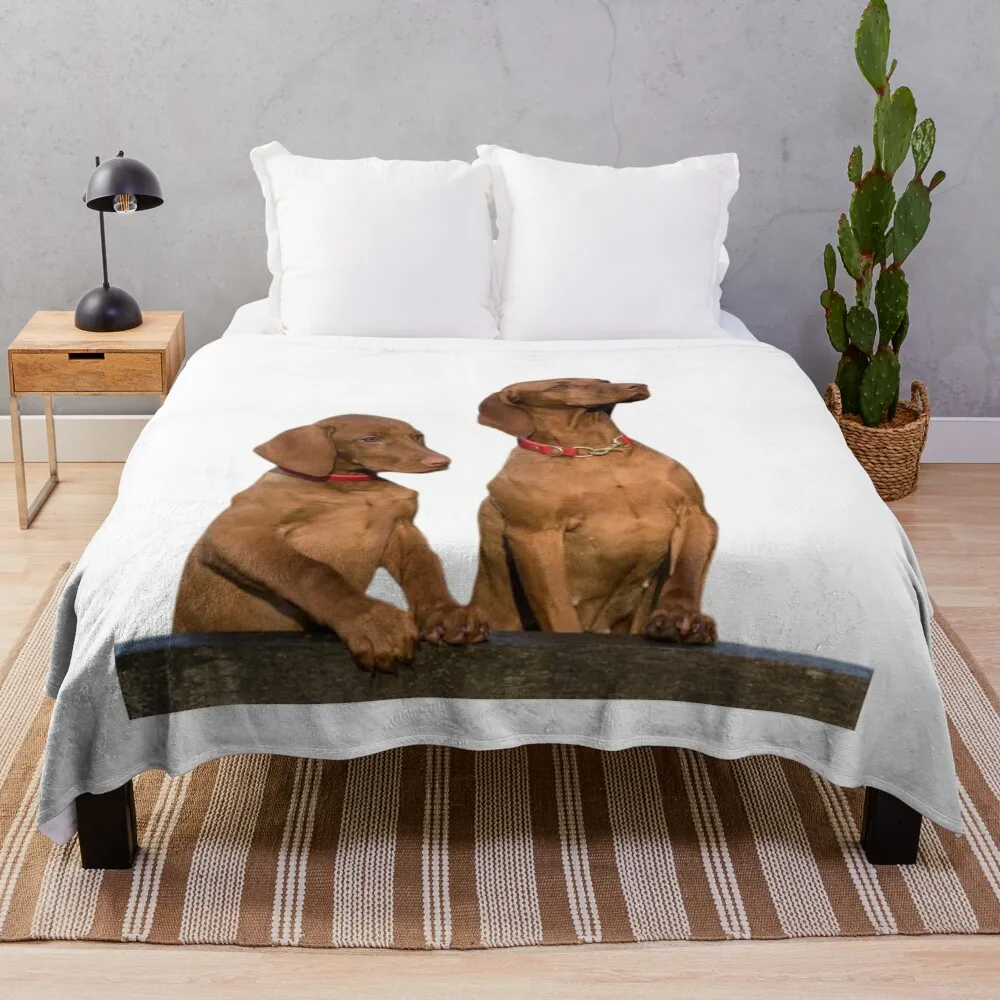 Декоративное одеяло с изображением собак Viszla