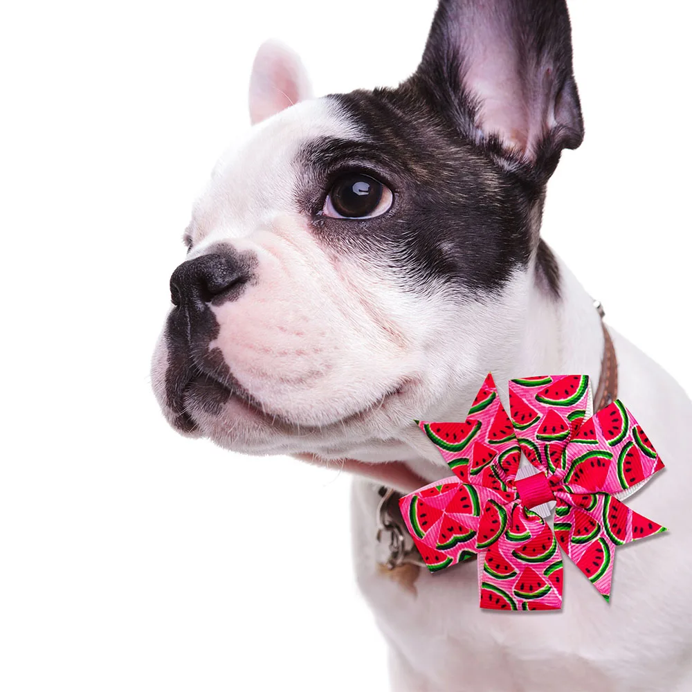 10 шт. подвижный ошейник для собак